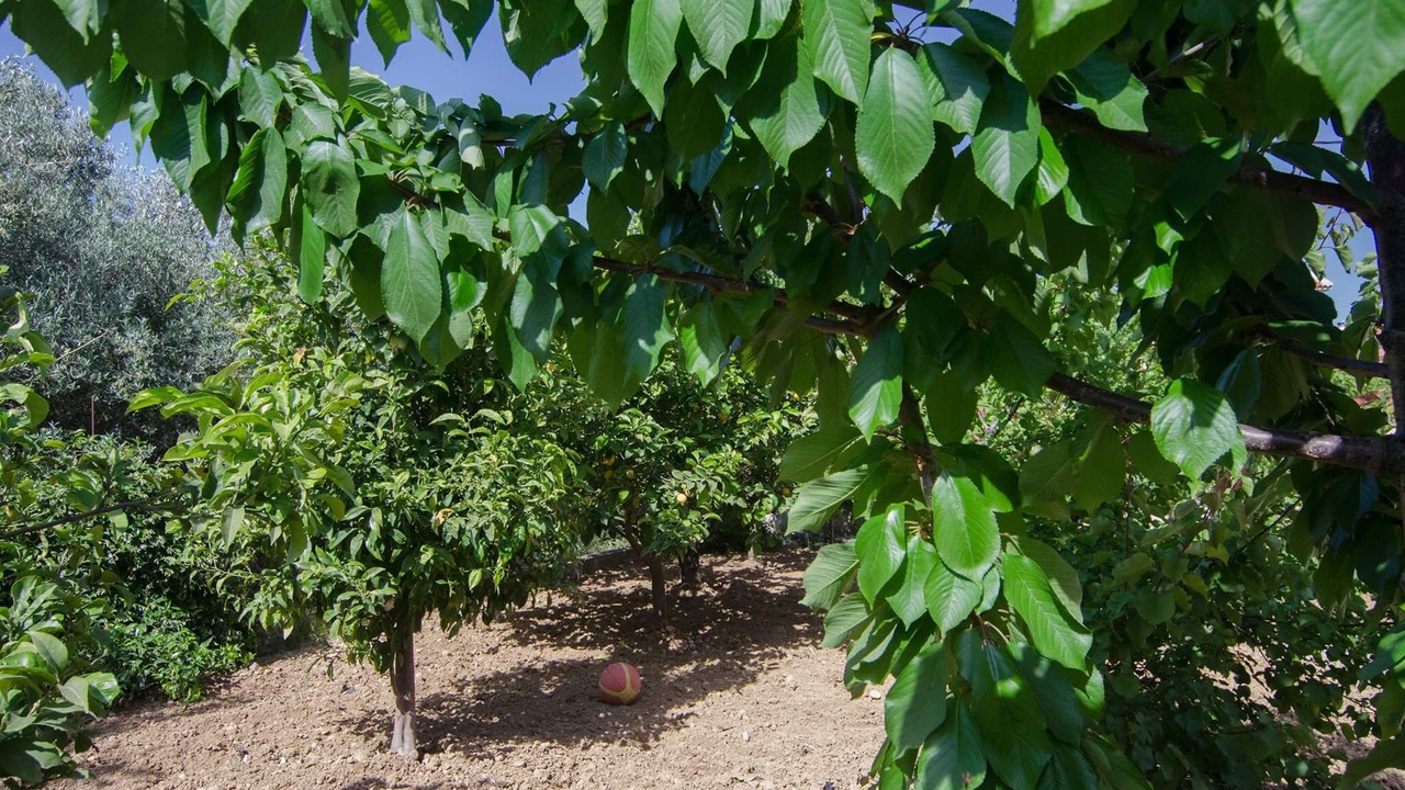 Photo of Outdoor in Khelmata