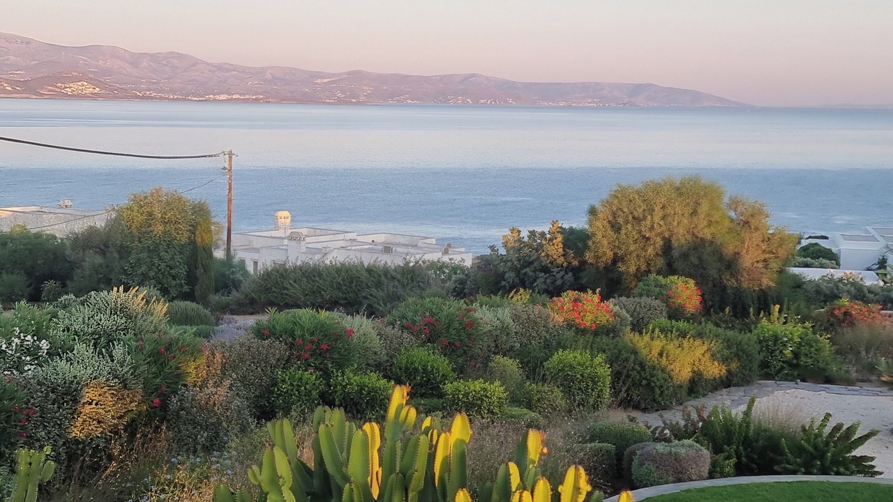 Photo of Others in Paros