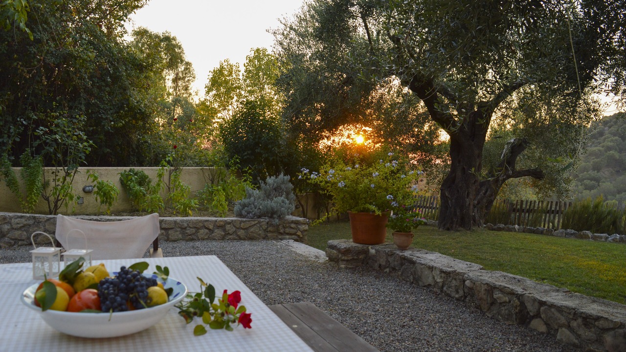 Photo of Outdoor in Kavvadades