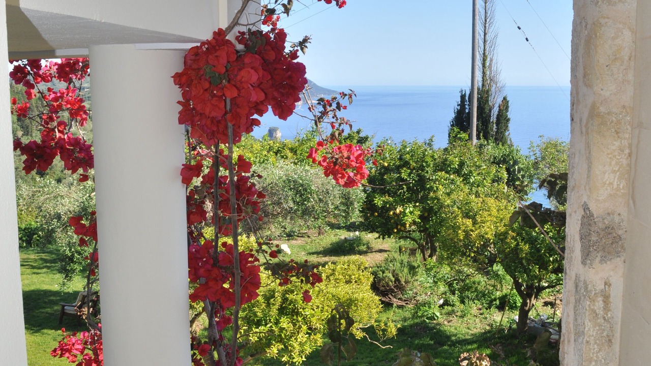Photo of Others in Glyfada