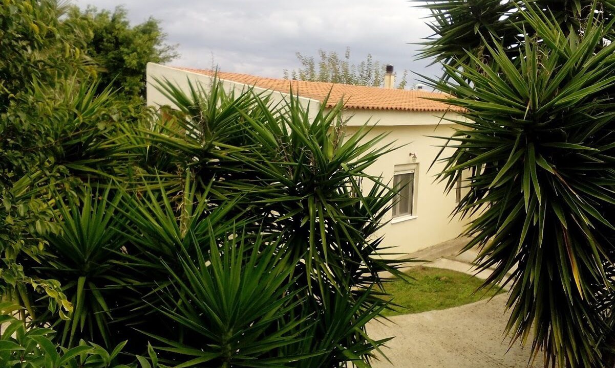 Photo of Outdoor in Potistiria