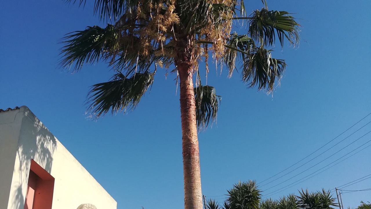 Photo of Outdoor in Potistiria