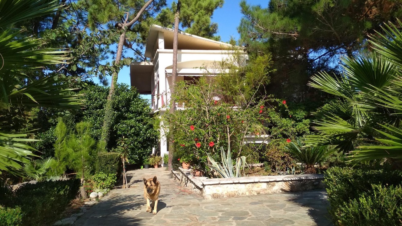 Photo of Others in Kiparissia
