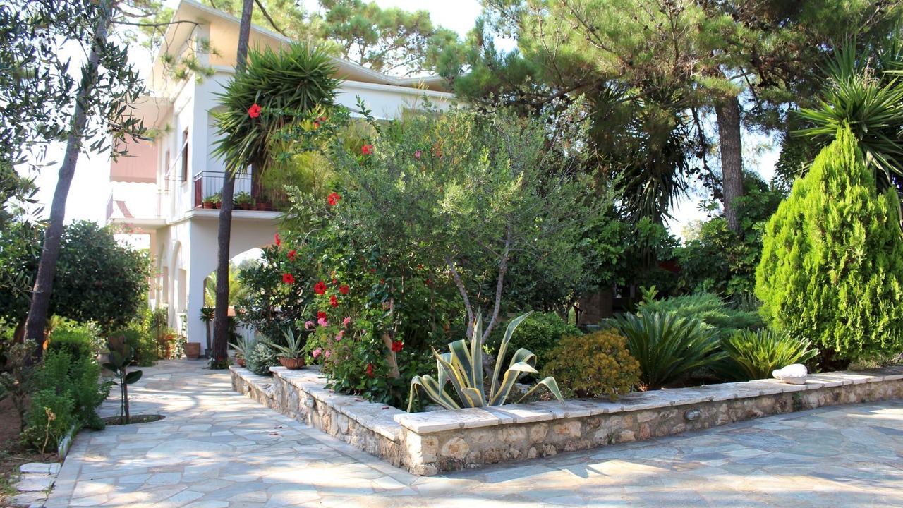 Photo of Others in Kiparissia