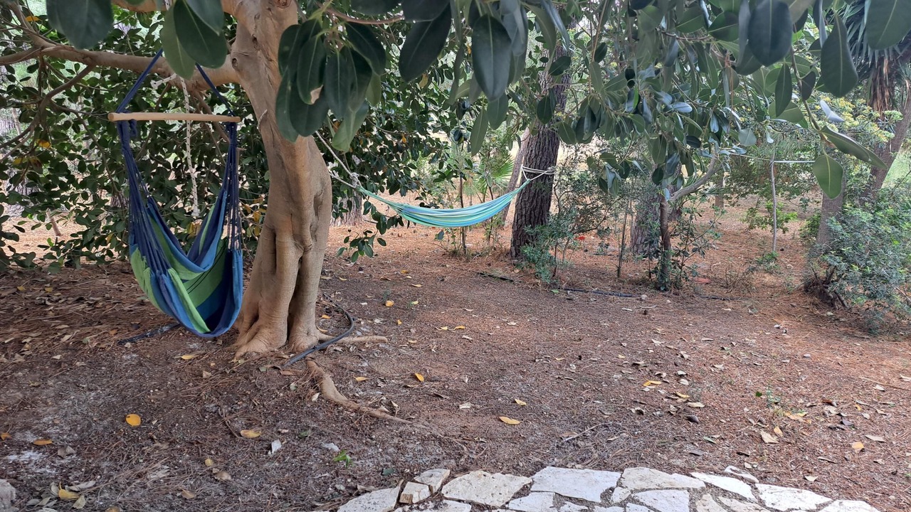 Photo of Outdoor in Kiparissia