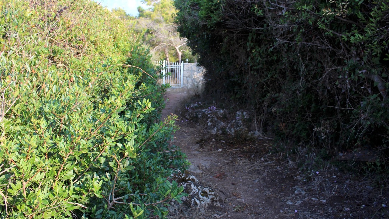 Photo of Others in Kiparissia