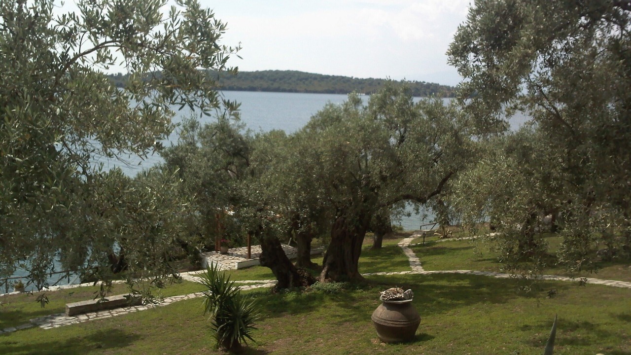 Photo of Outdoor in Kali Vrysi