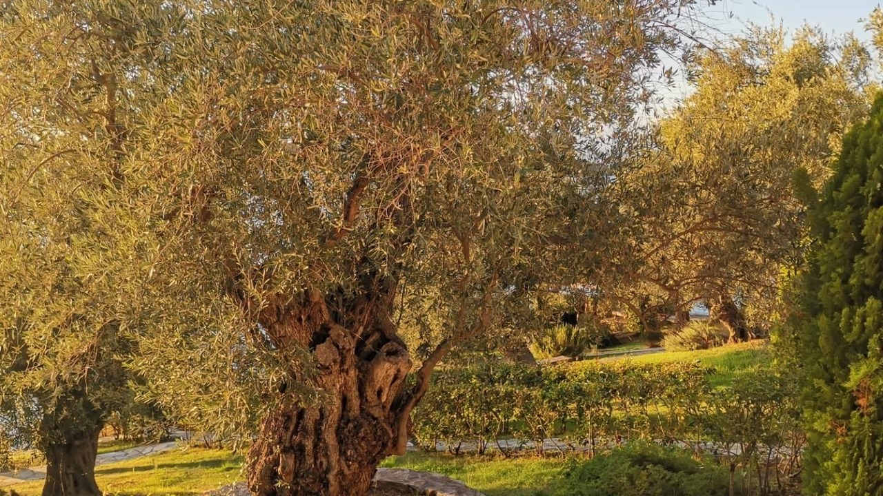 Photo of Outdoor in Kali Vrysi
