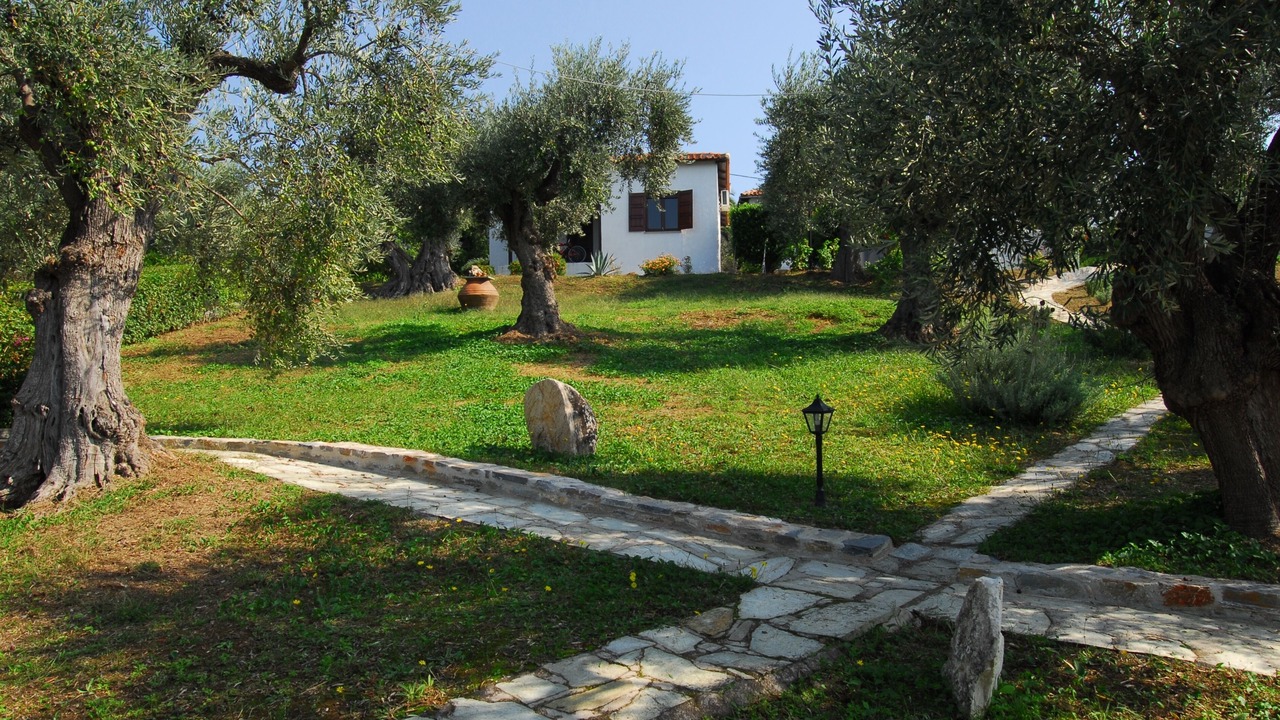 Photo of Outdoor in Kali Vrysi