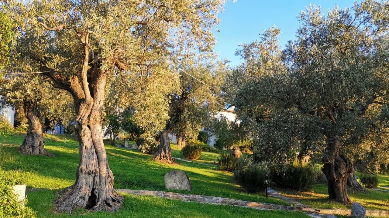 Photo of Outdoor in Kali Vrysi