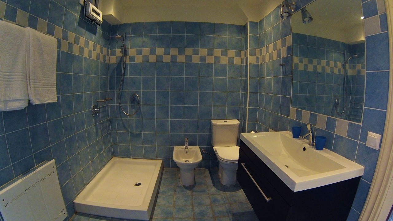Photo of Bathroom in Evgiros