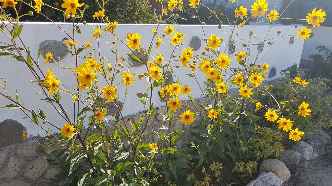 Photo of Outdoor in Kamiros
