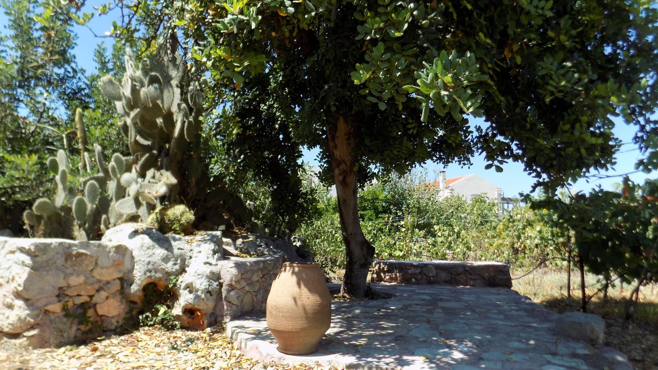 Photo of Outdoor in Plaka