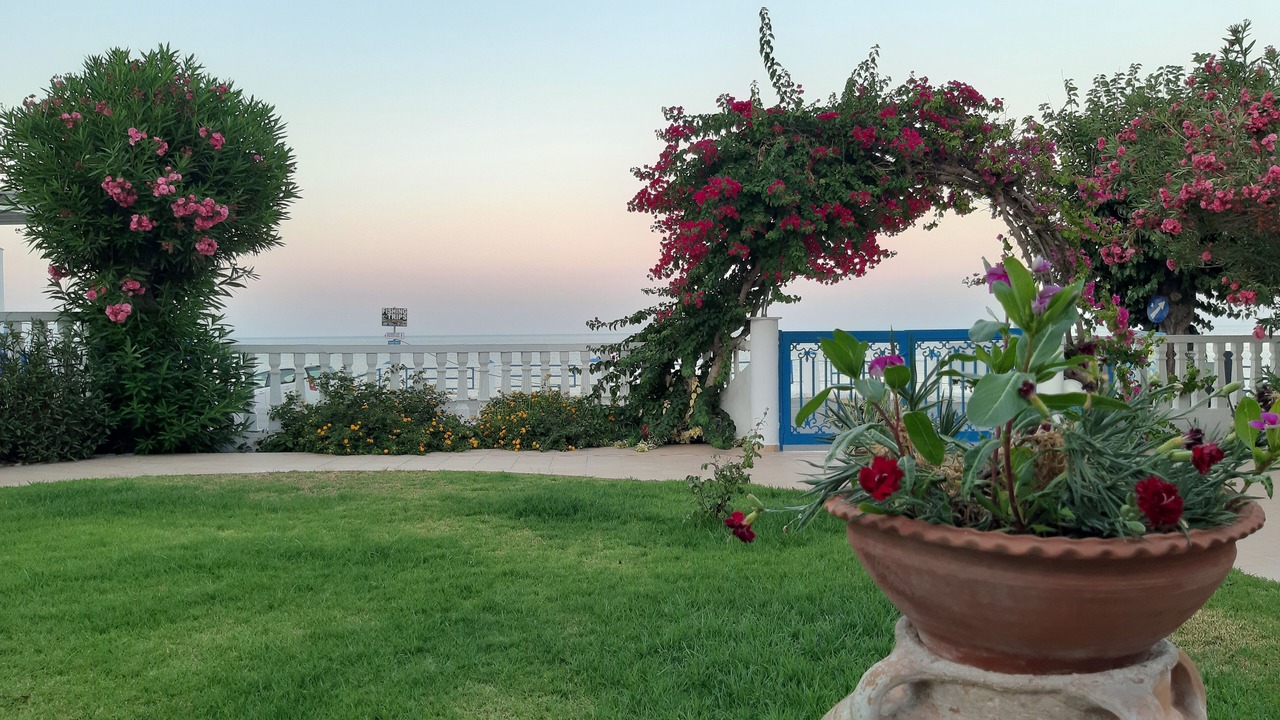 Photo of Outdoor in Stegna