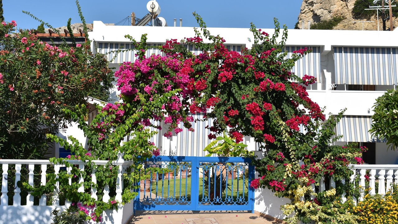Photo of Outdoor in Stegna