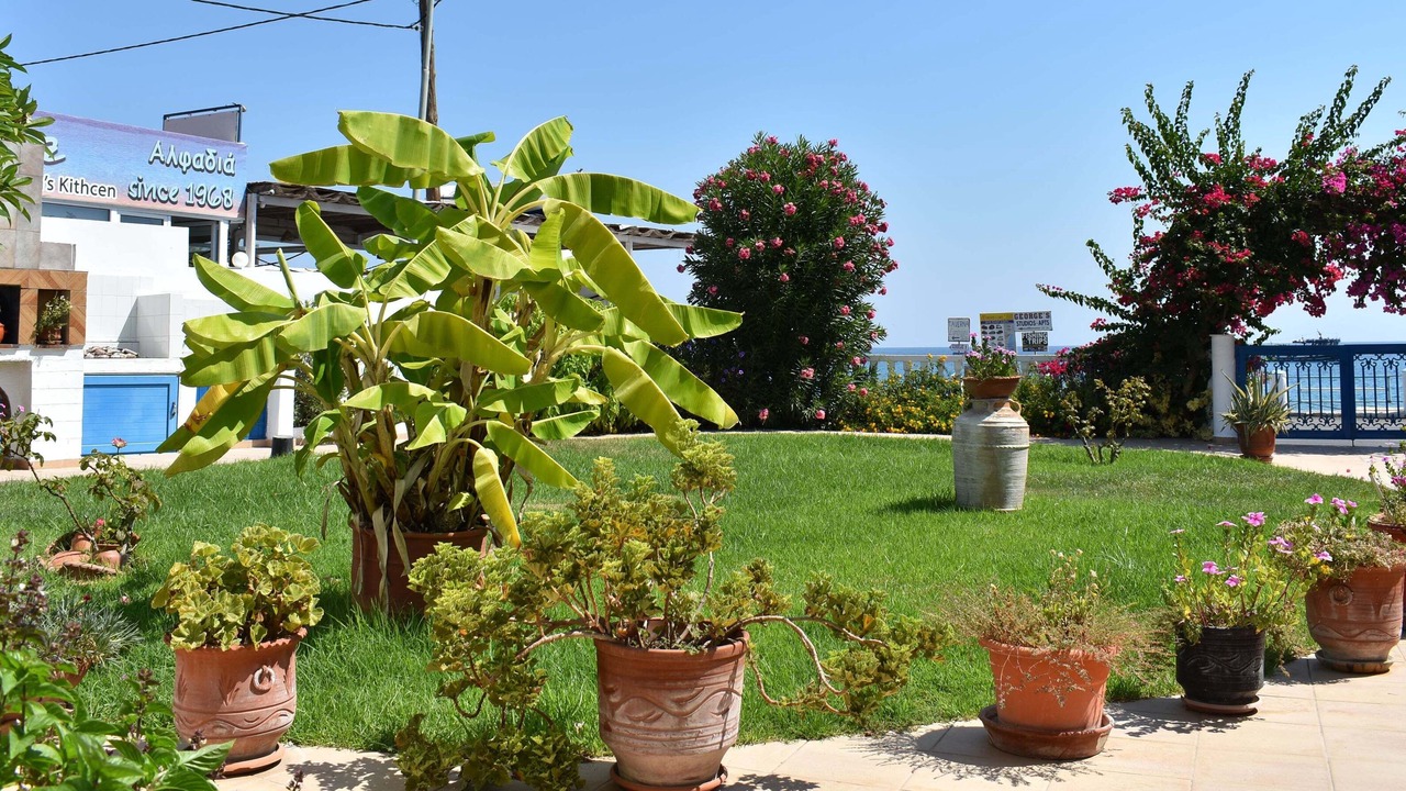 Photo of Outdoor in Stegna