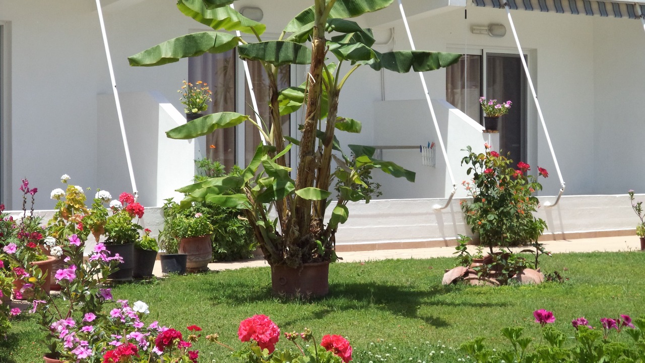 Photo of Outdoor in Stegna