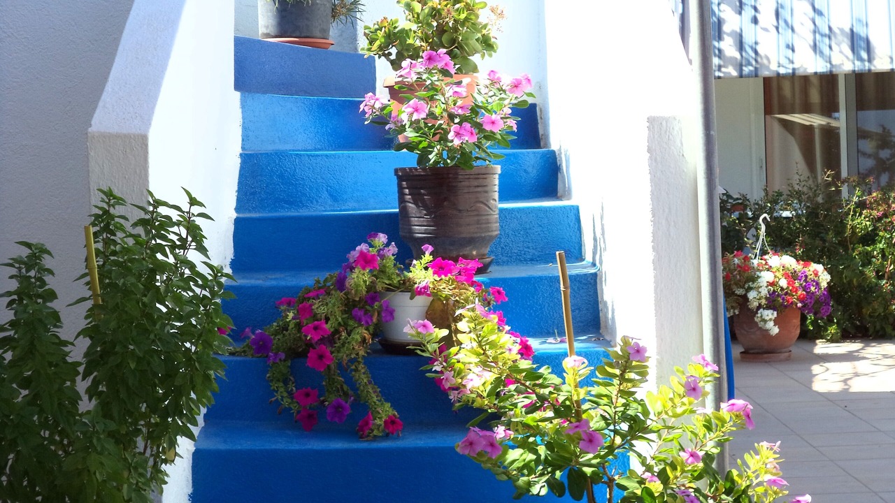Photo of Outdoor in Stegna