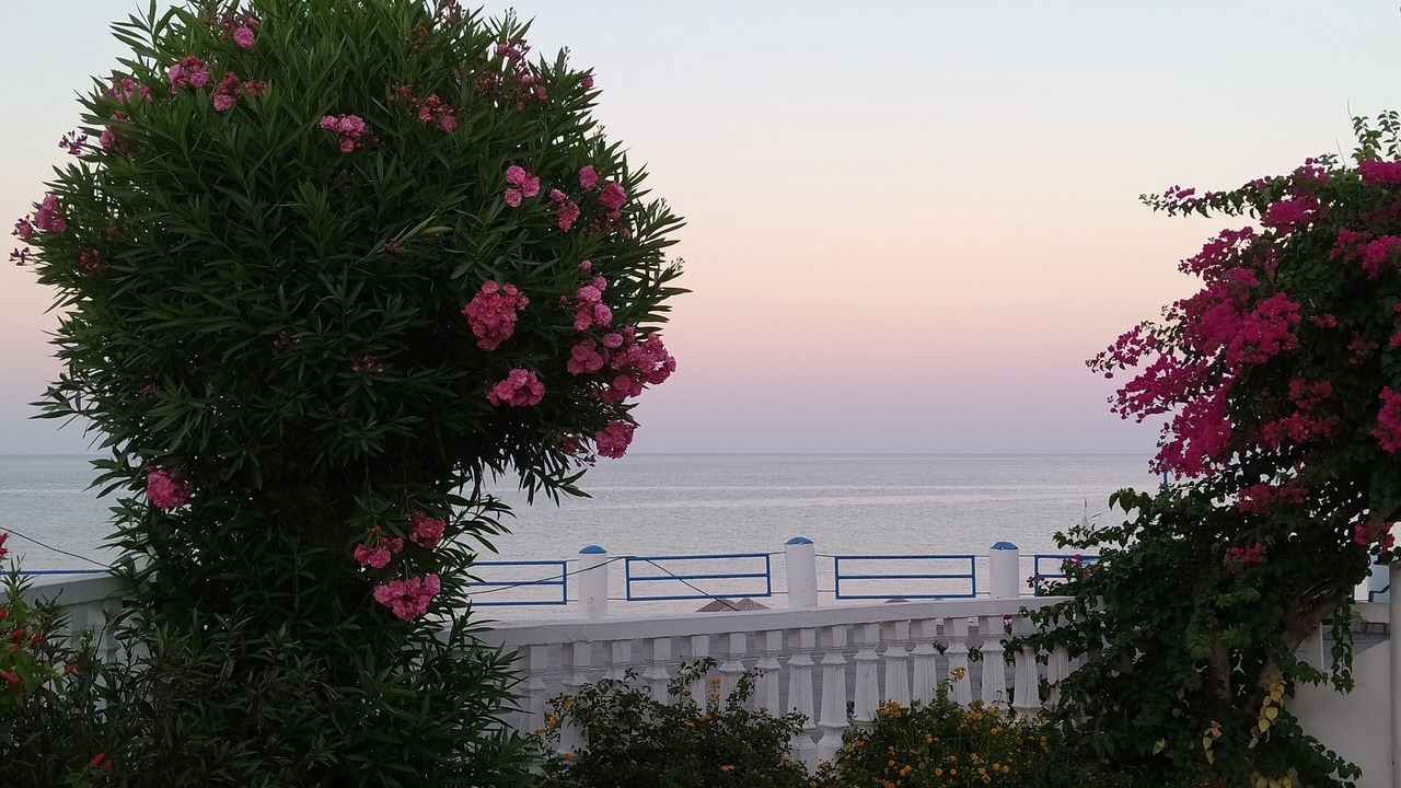 Photo of Outdoor in Stegna