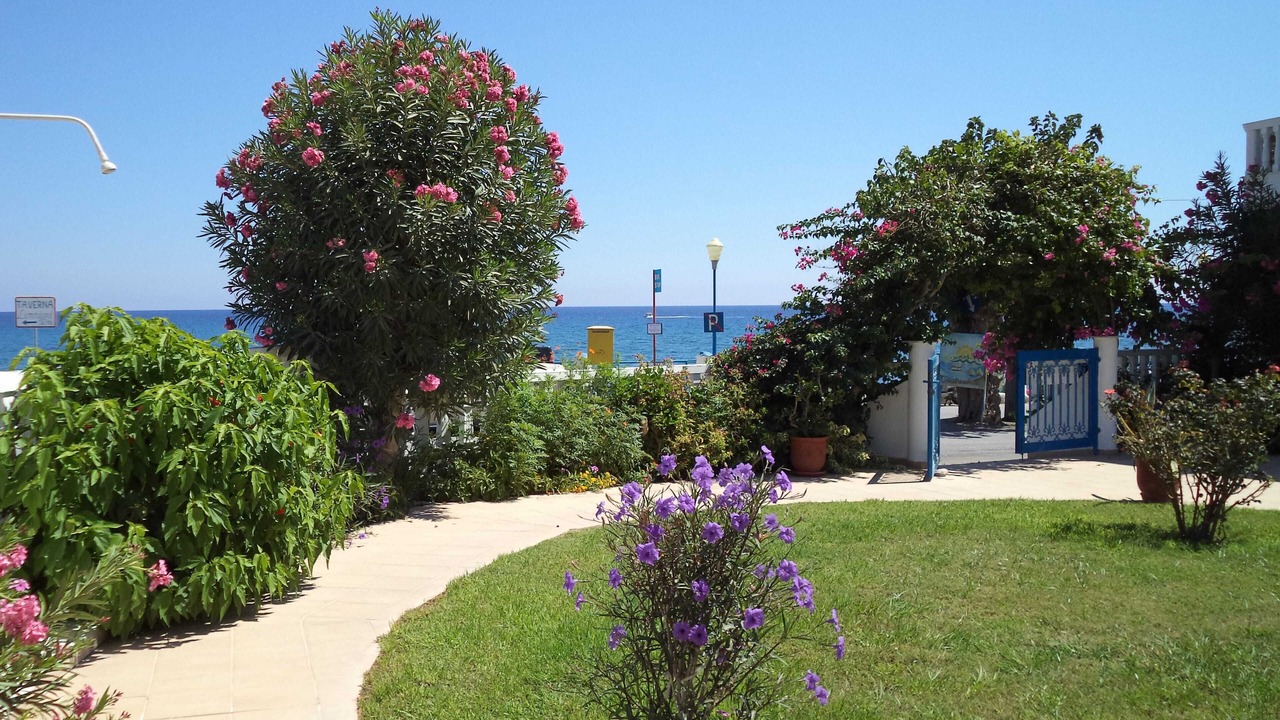 Photo of Outdoor in Stegna