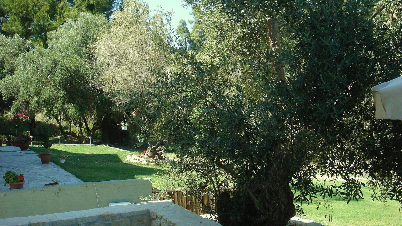 Photo of Outdoor in Kriopigi