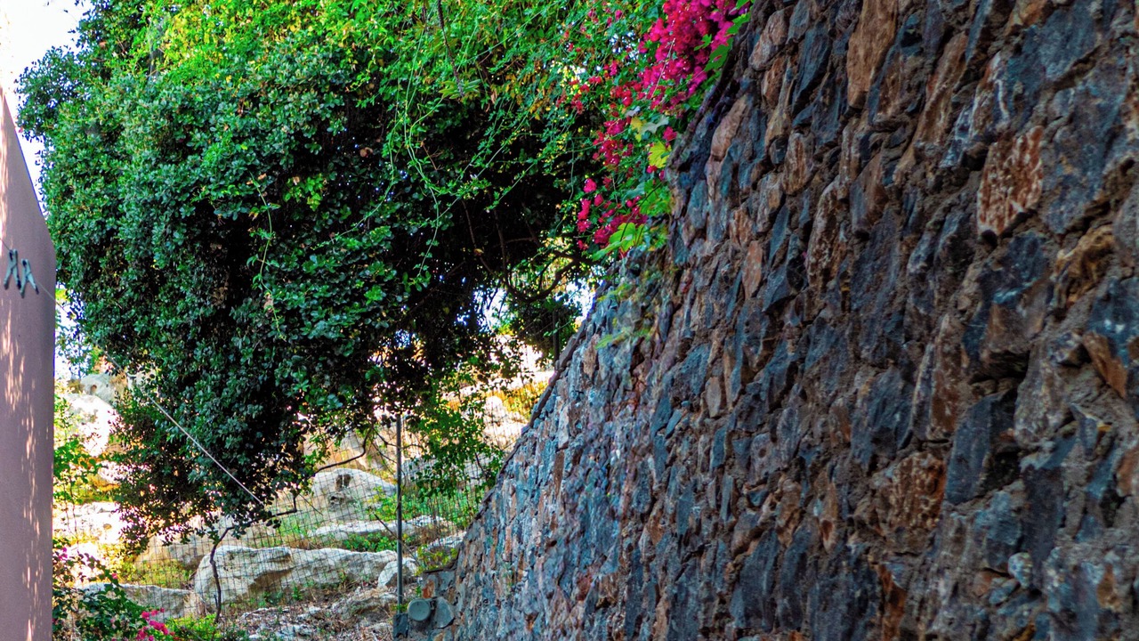 Photo of Outdoor in Agia Triada