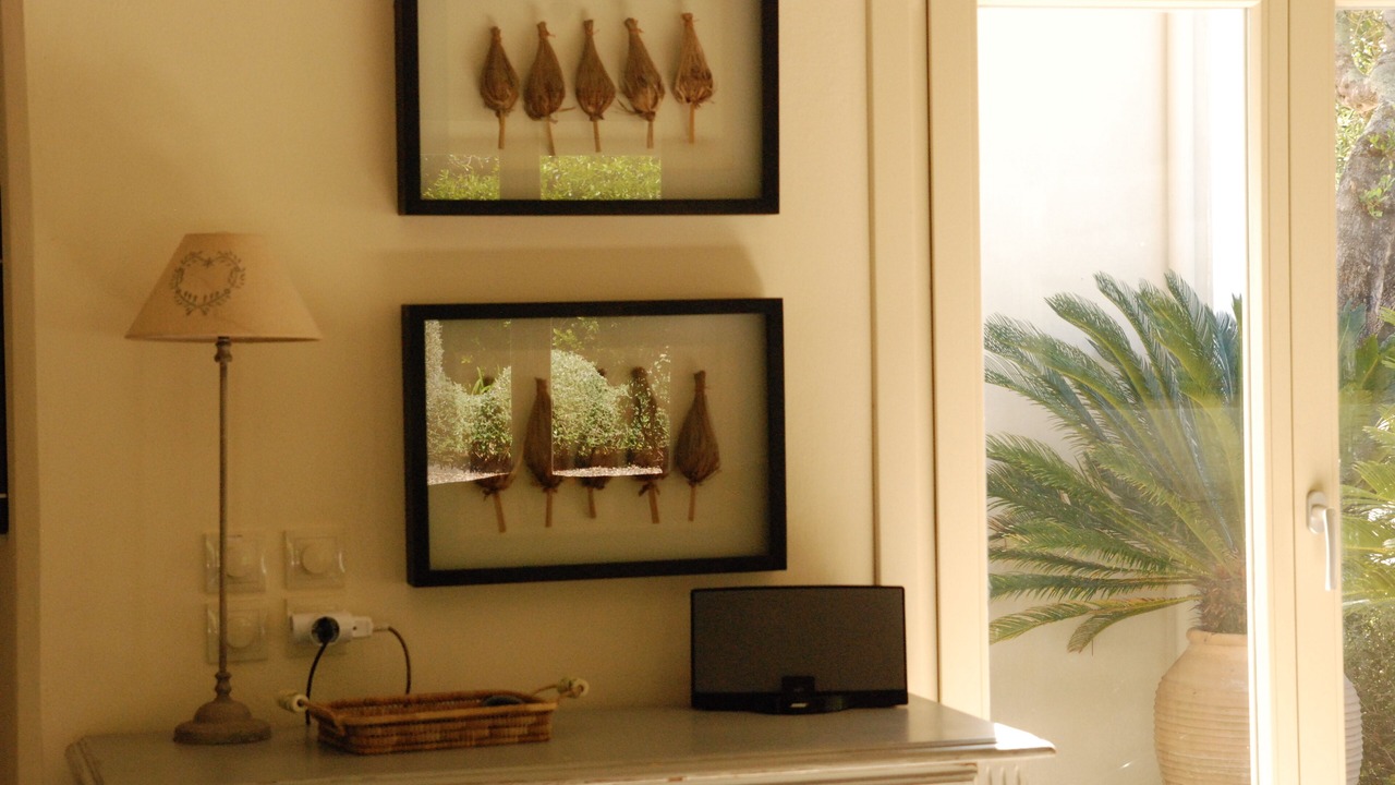Photo of Livingroom in Petaleia