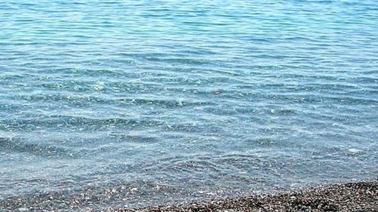 Photo of Others in Gennadi