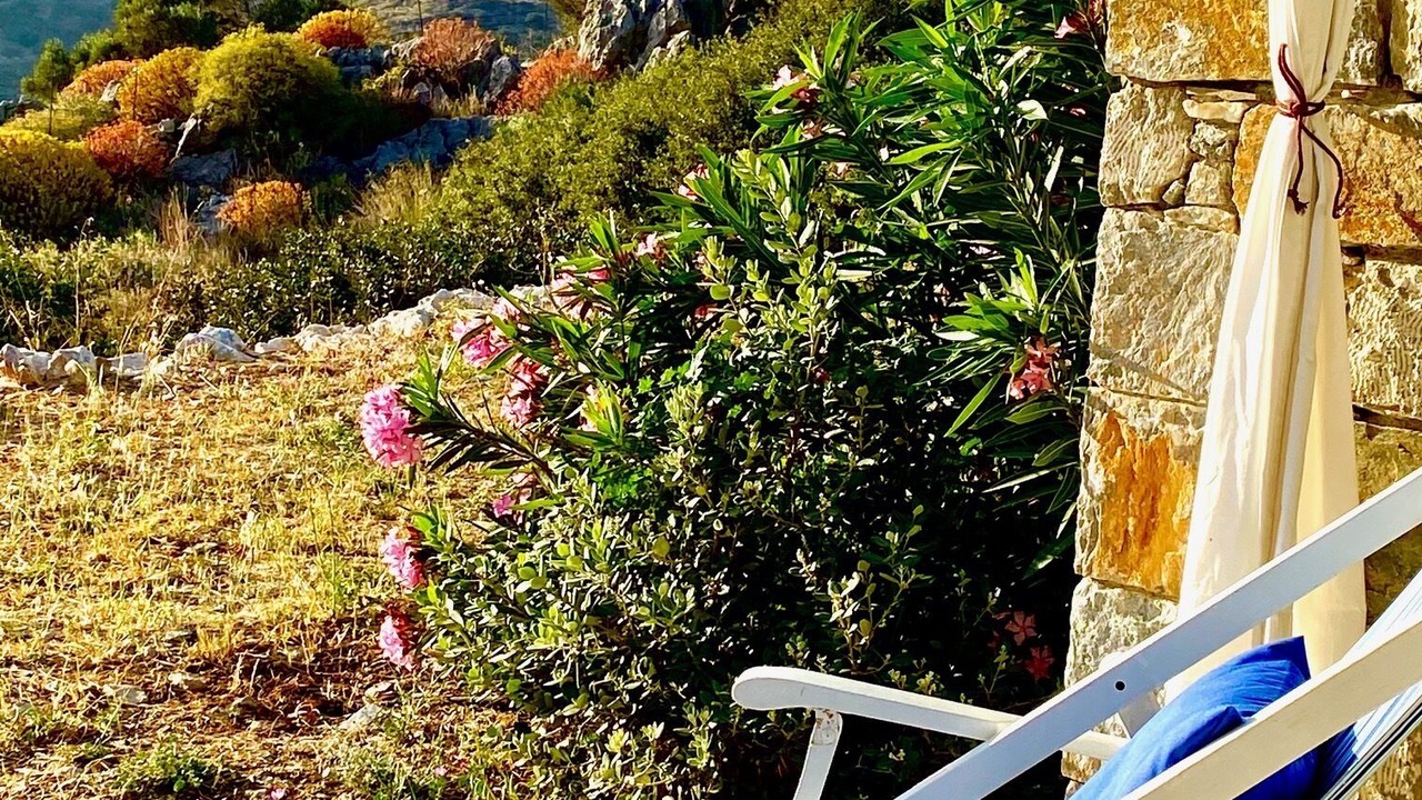 Photo of Outdoor in Aegiali
