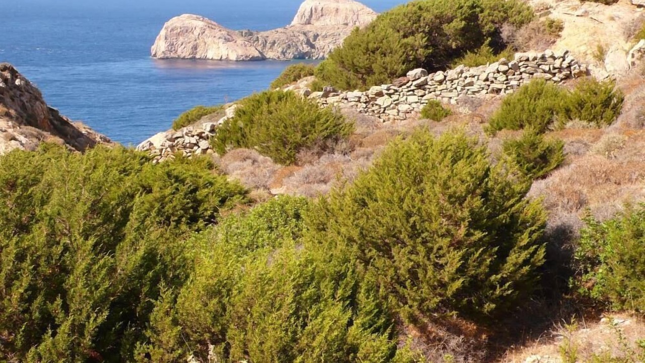 Photo of Outdoor in Kini