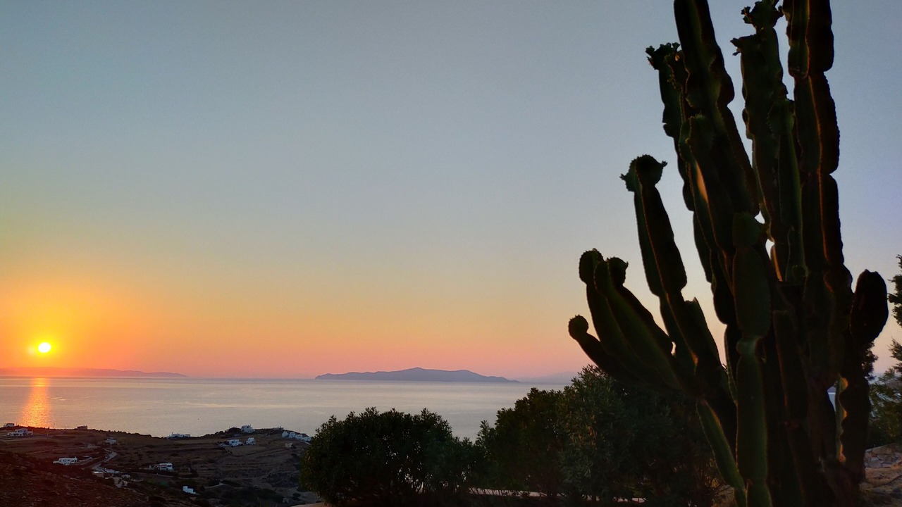 Photo of Outdoor in Kini