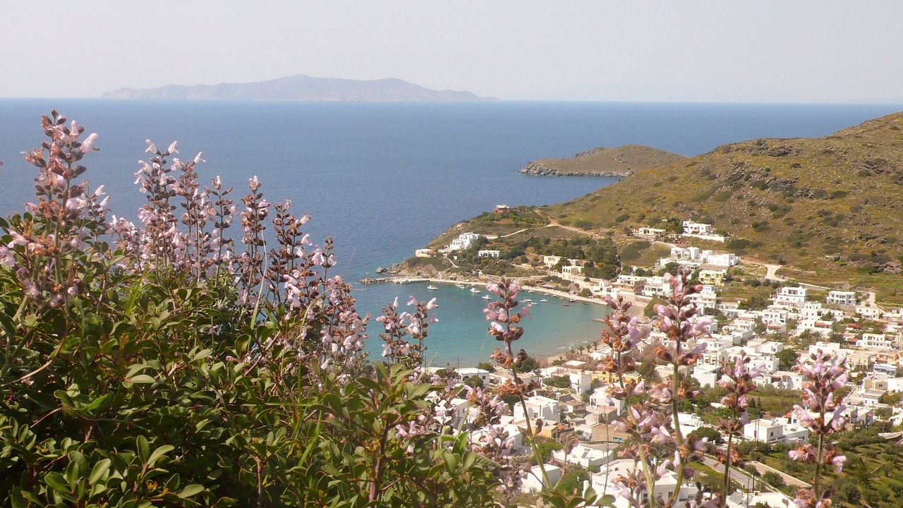 Photo of Others in Kini