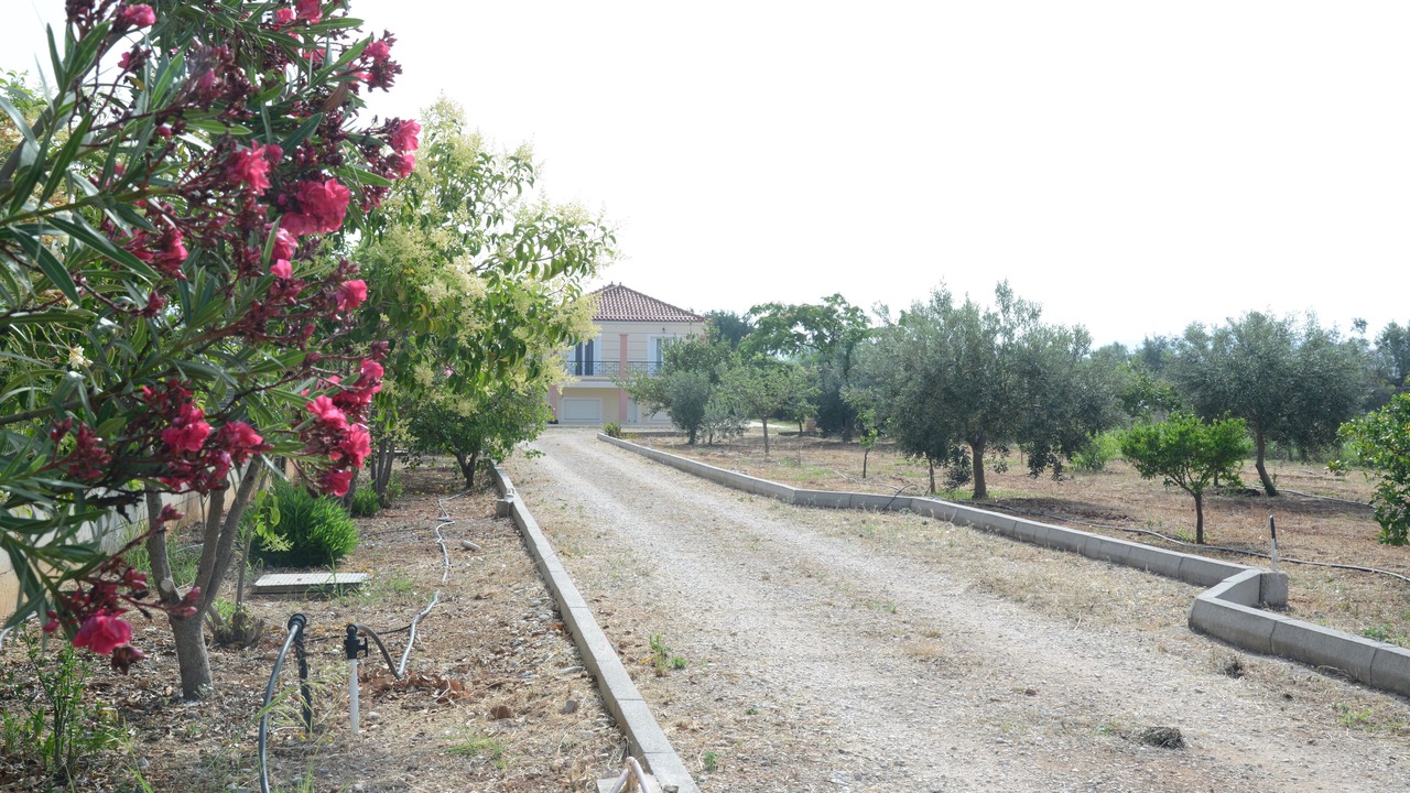 Photo of Others in Kiveri