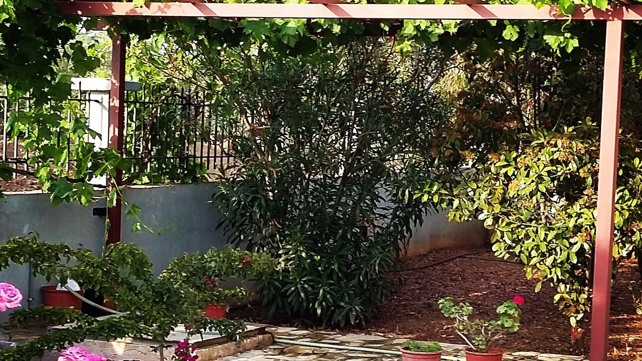 Photo of Outdoor in Kiveri