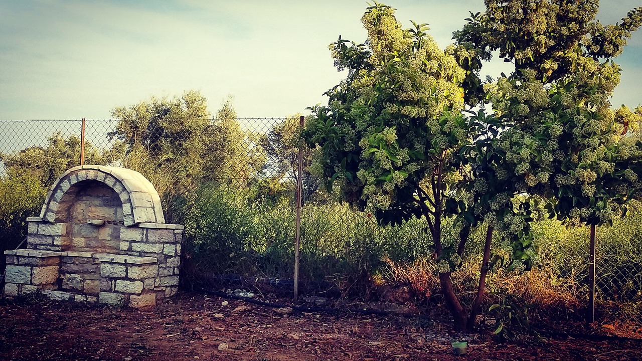 Photo of Outdoor in Kiveri