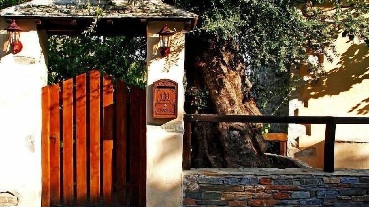 Photo of Outdoor in South Pelion