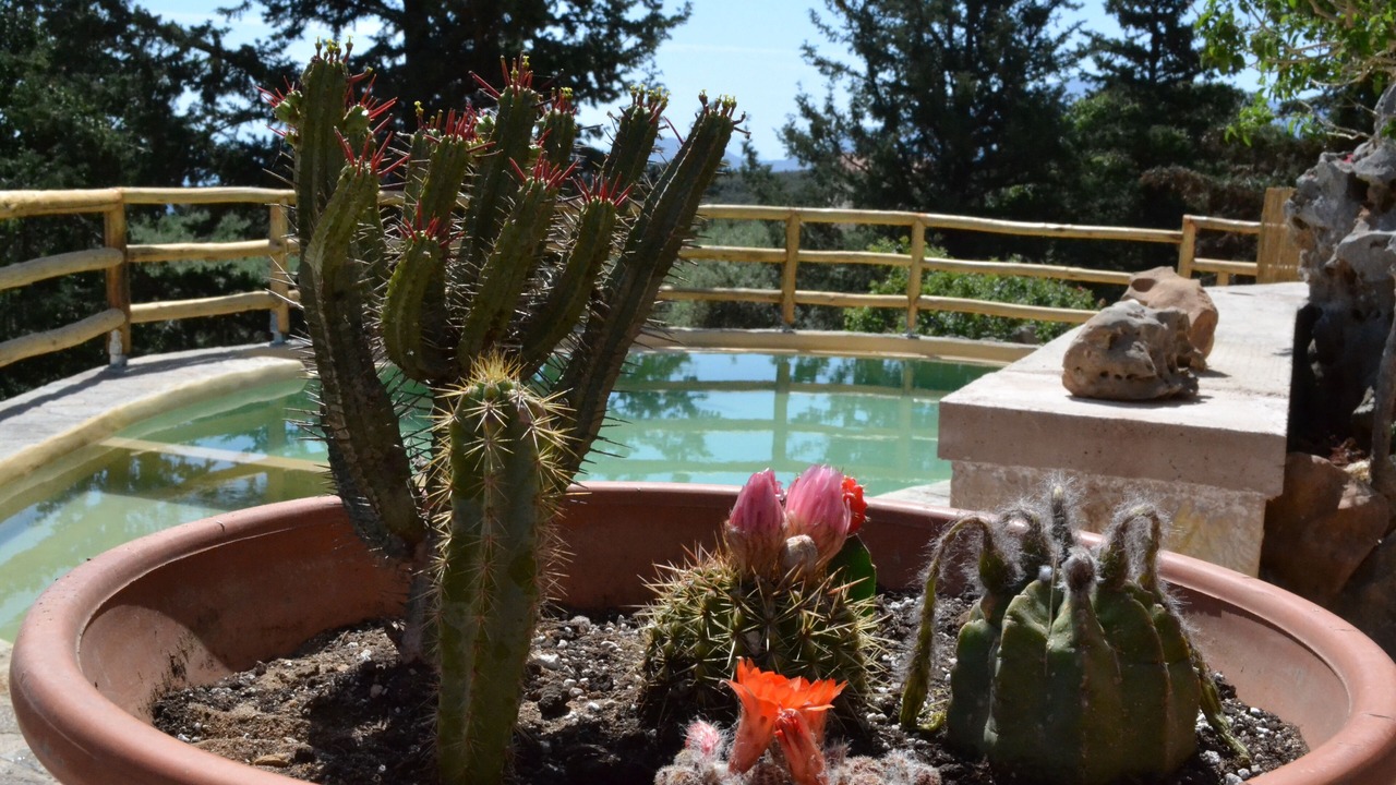 Photo of Outdoor in Melidoni