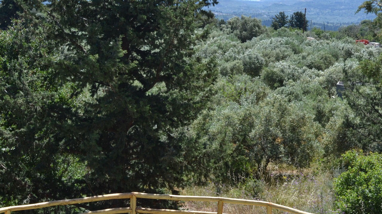 Photo of Outdoor in Melidoni