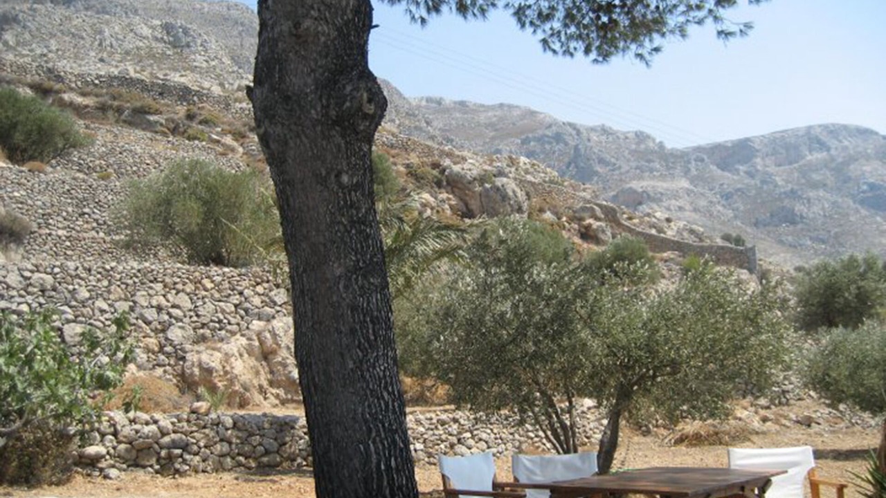 Photo of Outdoor in Kamari