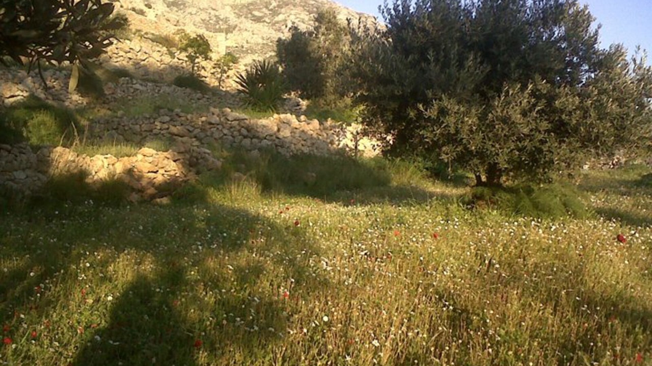 Photo of Outdoor in Kamari