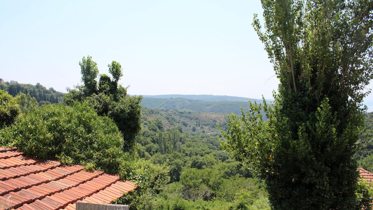 Photo of Others in South Pelion