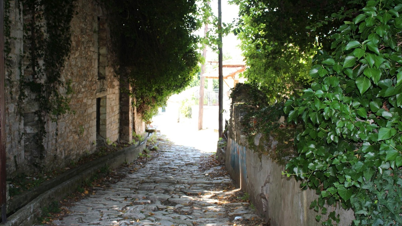 Photo of Others in South Pelion