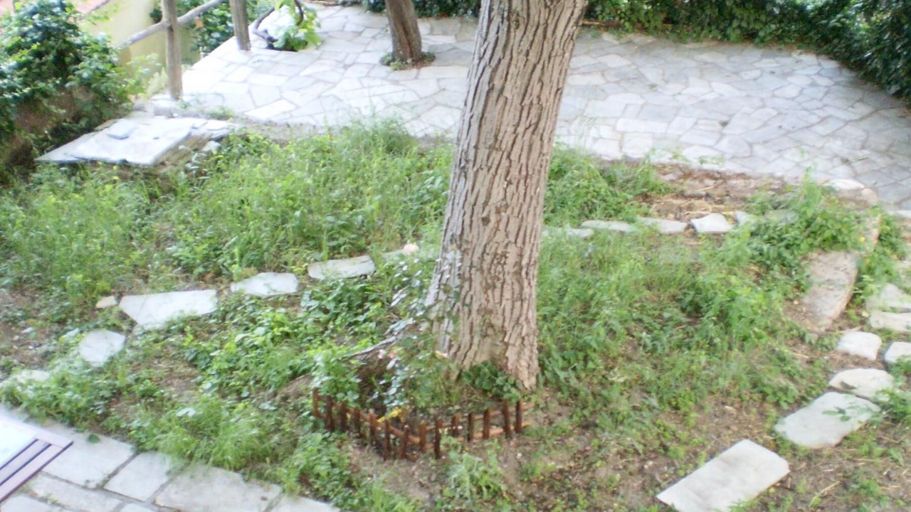 Photo of Outdoor in South Pelion