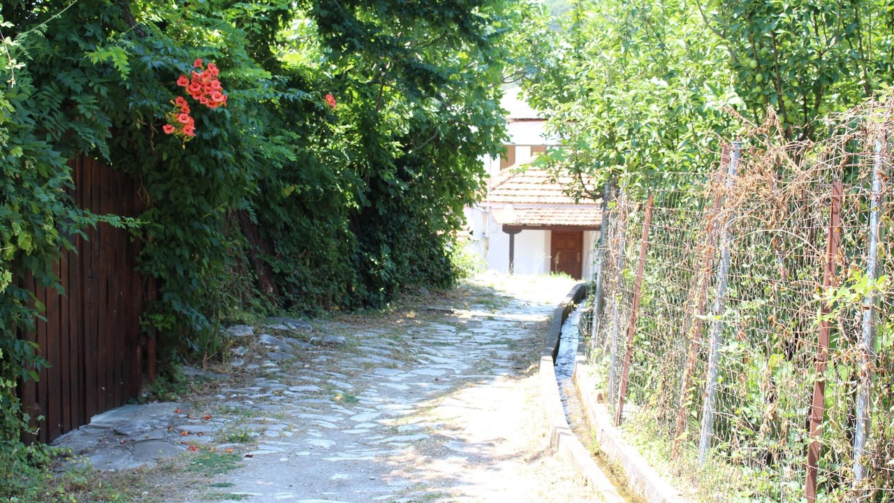 Photo of Others in South Pelion