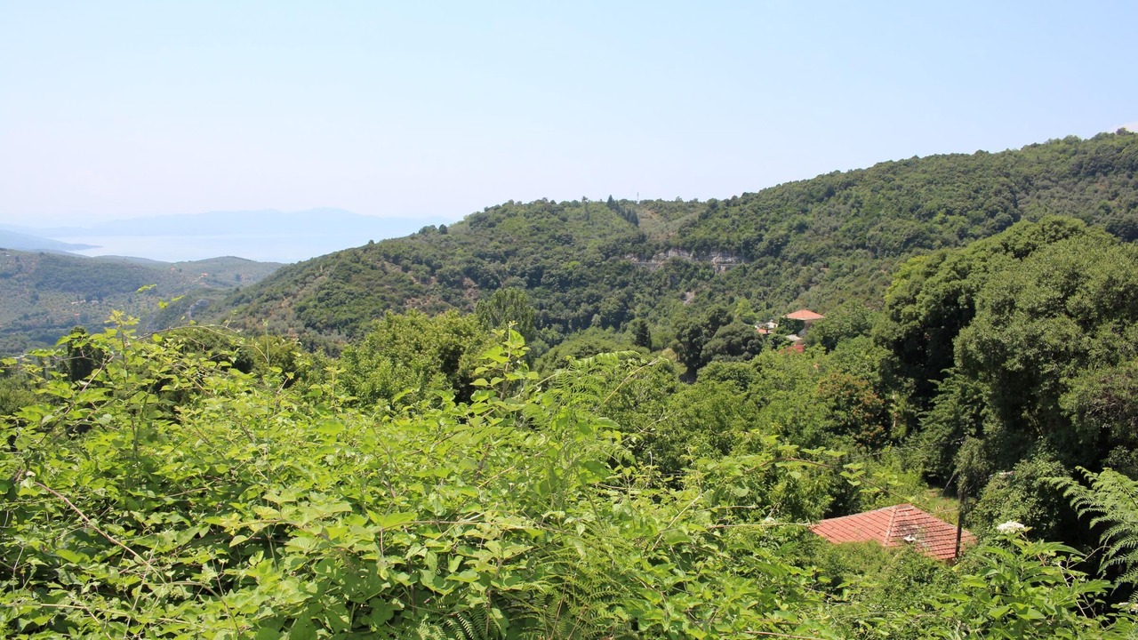 Photo of Others in South Pelion