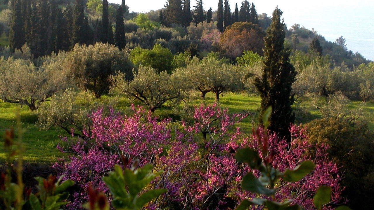 Photo of Outdoor in Xylokastro-Evrostina