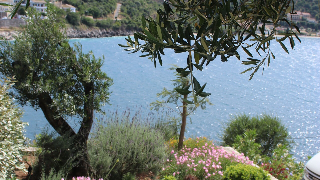 Photo of Outdoor in Kassiopi