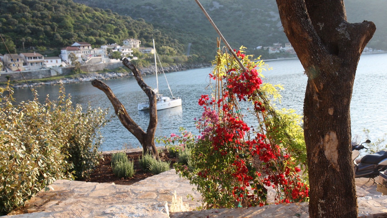 Photo of Outdoor in Kassiopi