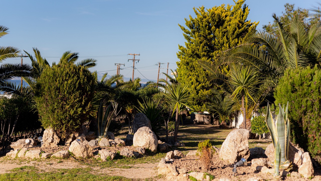 Photo of Outdoor in Vagia
