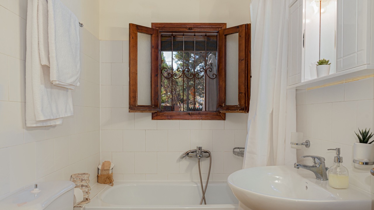 Photo of Bathroom in Vagia